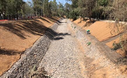 Aseguran especies tras obras en parque lineal Canal Nacional