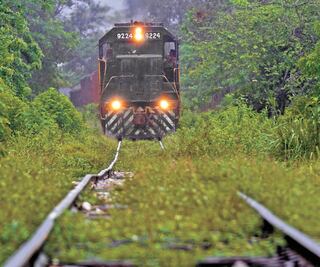 Tren Maya no tiene estudios de preinversión 