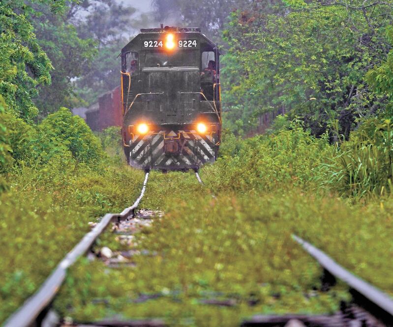 Fonatur otorgó 15 contratos de manera directa para realizar estudios de diversas estaciones en el recorrido del Tren Maya. Foto: ARCHIVO EL UNIVERSAL