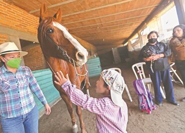 Equinoterapia para darle paz a los niños