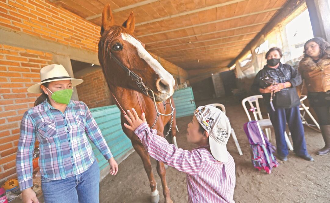 Vero publicó en Facebook la invitación para asistir a las terapias con caballos en el Rancho Regina. Foto: Jorge Alvarado. EL UNIVERSAL
