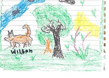 El conmovedor dibujo del perrito Wilson que hizo Lesly, la niña rescatada en la selva de Colombia
