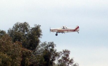 Alistan fumigación en Sonora contra chikungunya