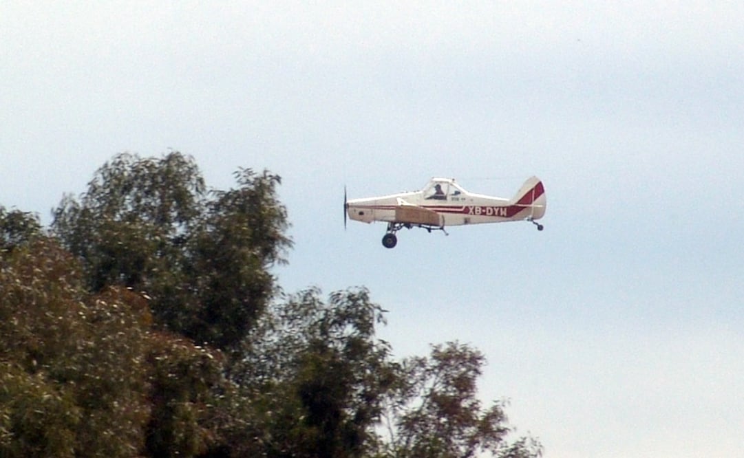 La fumigación tardará tres semanas./Archivo - EL UNIVERSAL