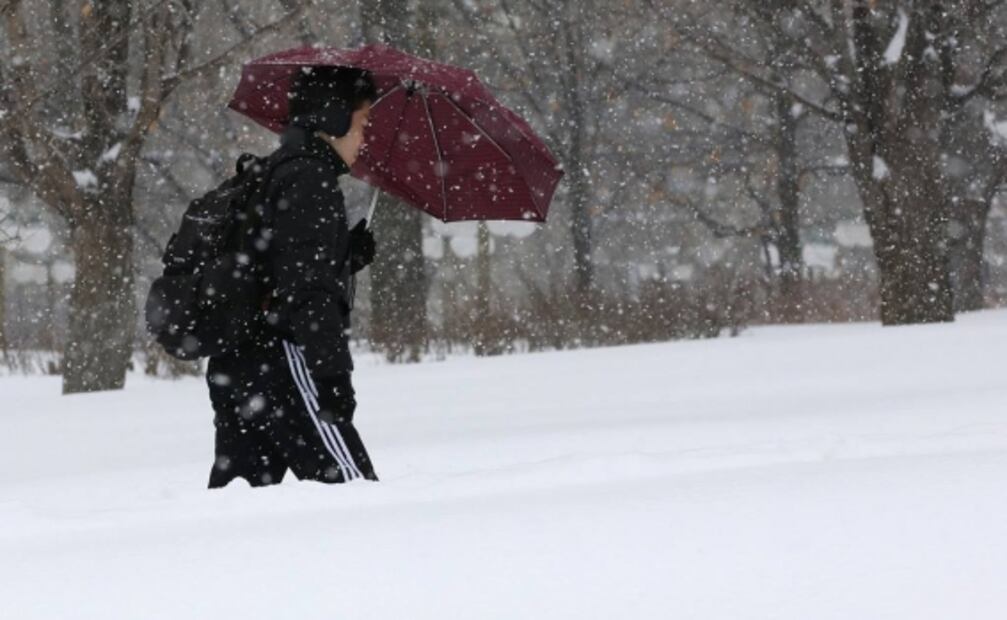 Tormenta de nieve paraliza este de Canadá