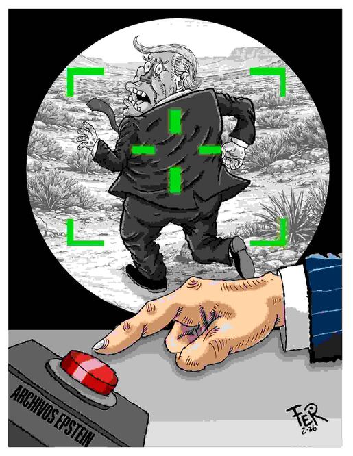 Cartón de FER