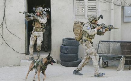 Perros en la TV y cine son grandes compañeros