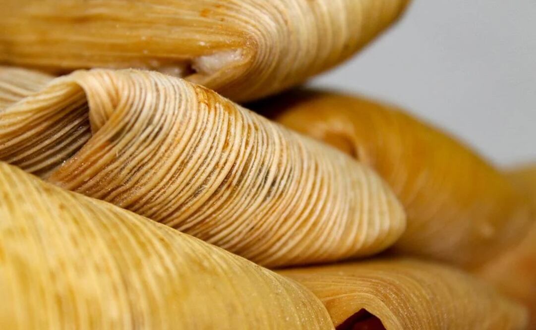 Foto: Ilustrativa. Pixabay