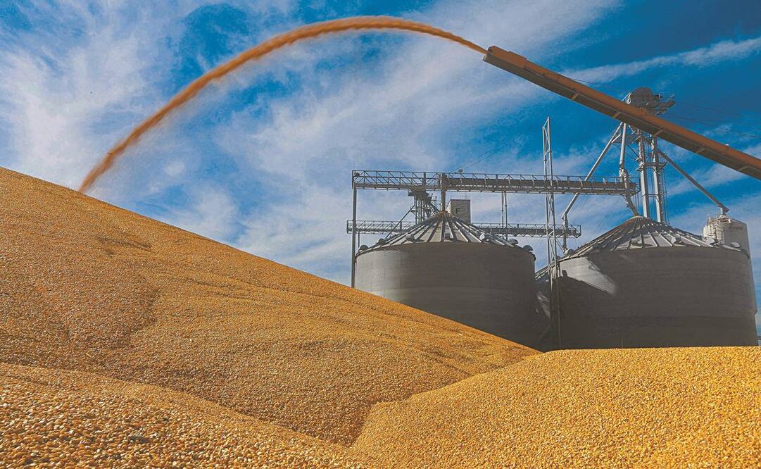 Legisladores de EU argumentan que el uso de biotecnológicos elevará la productividad del campo en México. Foto: ARCHIVO EL UNIVERSAL