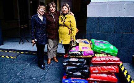 Delfina Gómez entrega 8 toneladas de alimentos para animales en refugios; buscan incentivar cultura de bienestar animal
