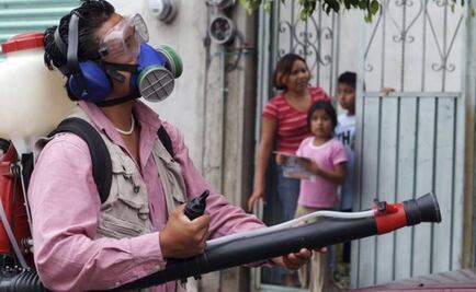 More than 1,053 cases of chikungunya in Michoacán