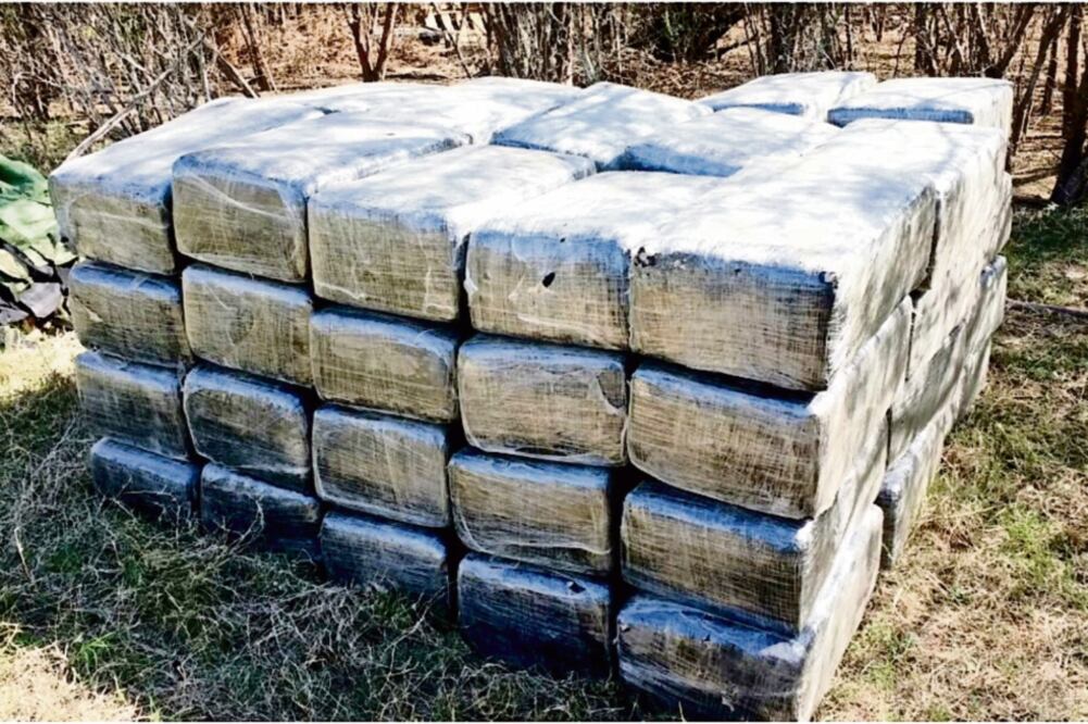 Las tres toneladas 942 kilogramos de marihuana envueltas en 331 paquetes estaban escondidas entre la maleza y a los pies de árboles, informaron los elementos de la Sedena. (SEDENA)