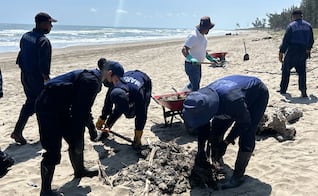 Aparece mancha de crudo en playas del puerto de Tuxpan; recolectan tres toneladas de residuos 