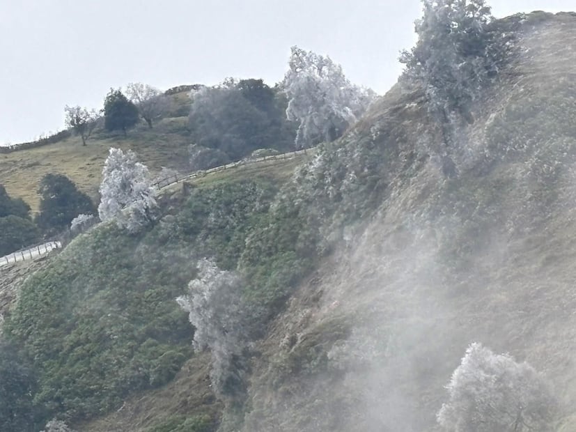 Cancellada en Tlacolulan, Veracruz. (Foto: especial)