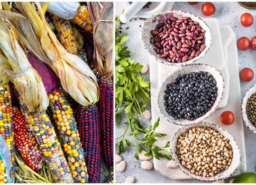 Descubre los tres alimentos básicos en la dieta mexicana