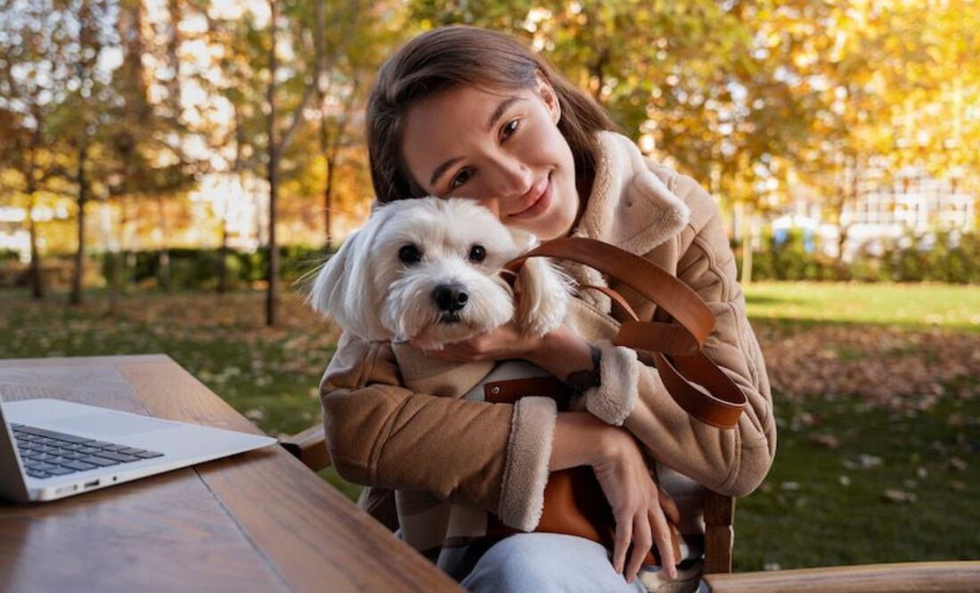 Estudio revela el impacto positivo de interactuar con perros en la salud mental. Fuente: Freepik.