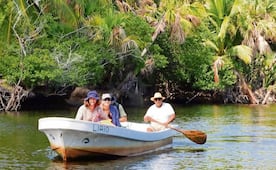Convierten cuidado del cocodrilo en sustento