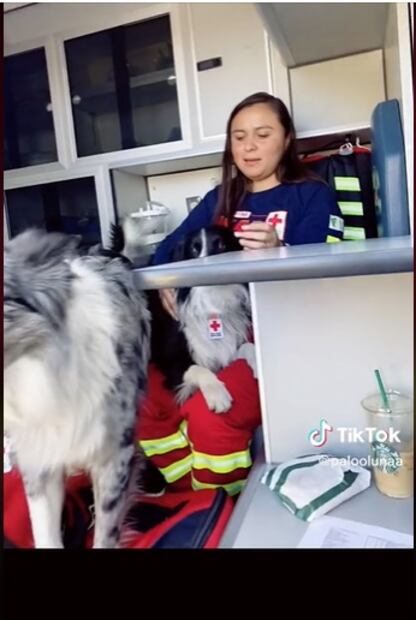 Terremoto en Turquía: Video muestra cómo se prepara mujer rescatista