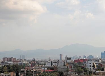 “Gobierno define la política ambiental”