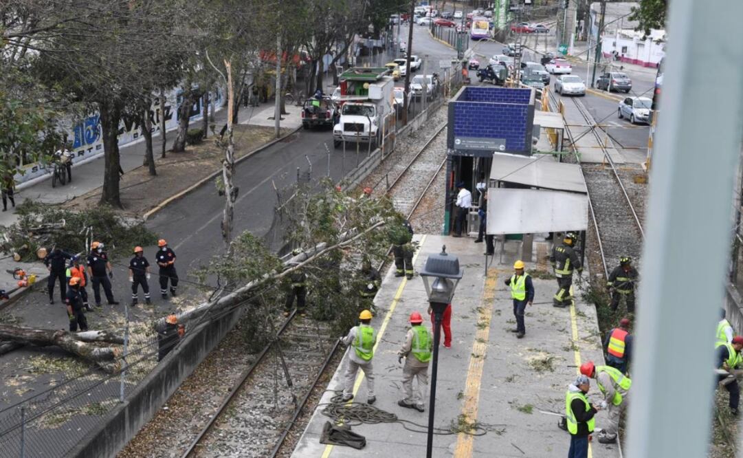 Foto: Armando Mertínez/ EL GRÁFICO