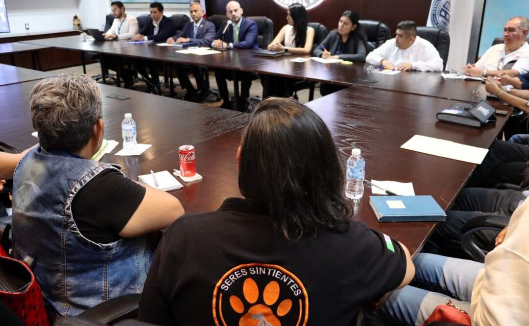 Crean fiscalía especializada para atender las 70 denuncias de maltrato animal en Morelos (04/07/2025). Foto: Especial