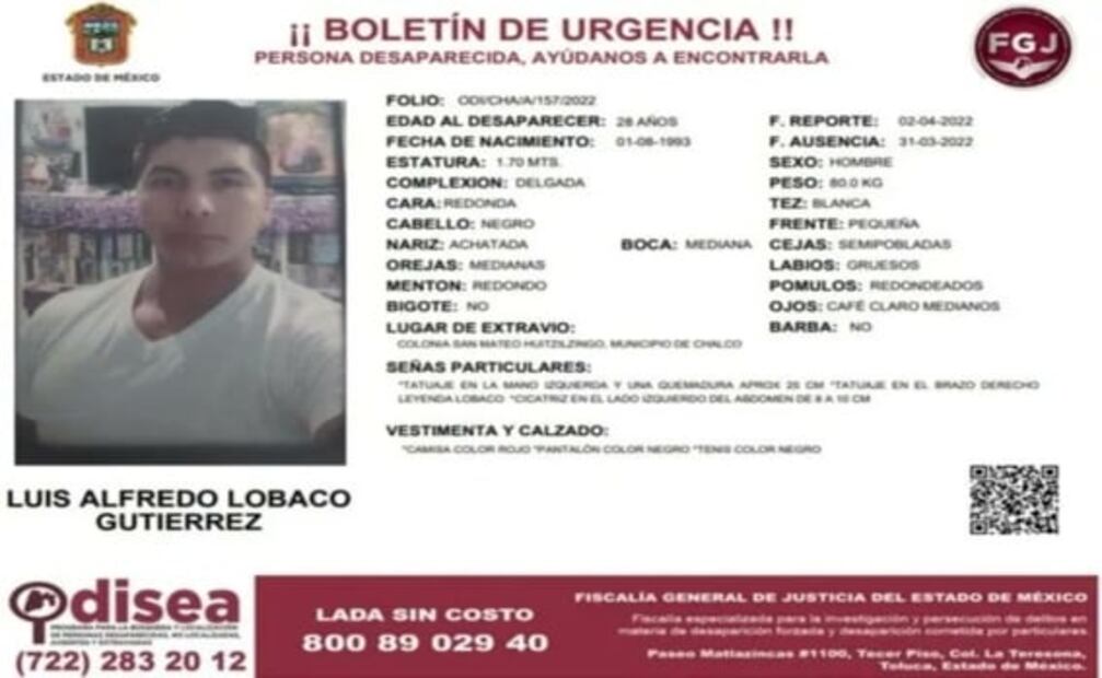 Policías hallan león en obra negra en Edomex; buscaban a albañil desaparecido