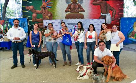 Alcaldía Benito Juárez realiza jornada de adopción  