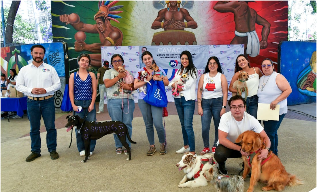 Jornada de adopción. Foto: Especial