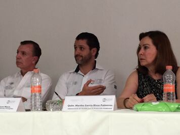 Reduce Semarnat permisos para nado con tortuga marina en Q.Roo