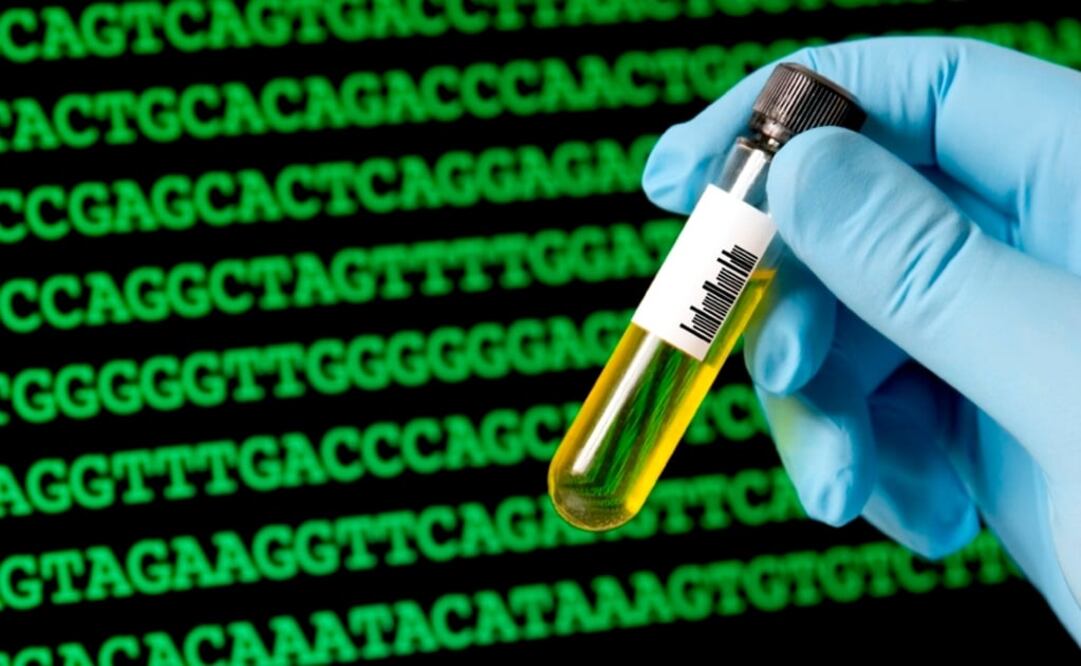 La biología sintética estudia los sistemas susceptibles de ser controlados al cortar y pegar ADN en las células. (FOTO: Especial)