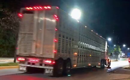 Estrategia de seguridad en carreteras redujo 54% robo con violencia a transportistas; Guardia Nacional refuerza operaciones