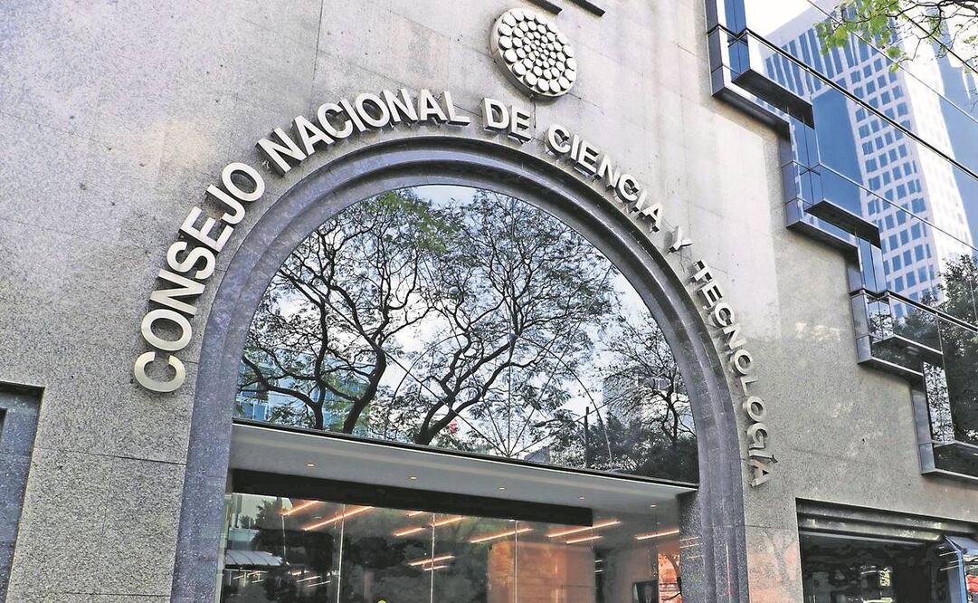 Morena y el subejercicio de la dignidad