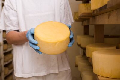 ¿Sabes cuál es el origen del queso Manchego?
