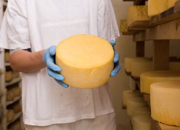 ¿Sabes cuál es el origen del queso Manchego?