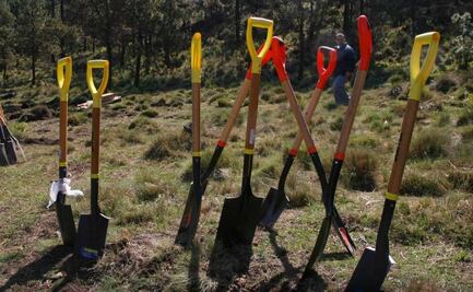 Piden esclarecer ataque a Guarda Bosques por presuntos tala montes en la México-Cuernavaca