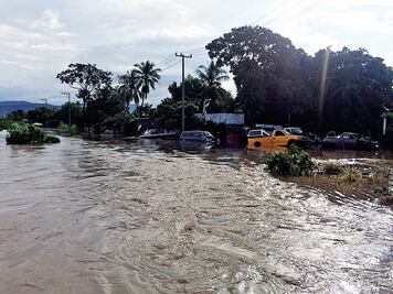 Agricultores michoacanos pierden su patrimonio y las esperanzas