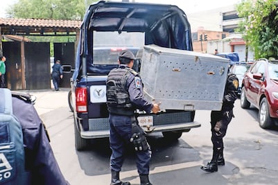 En libertad, el dueño de pitbull que mató a niña