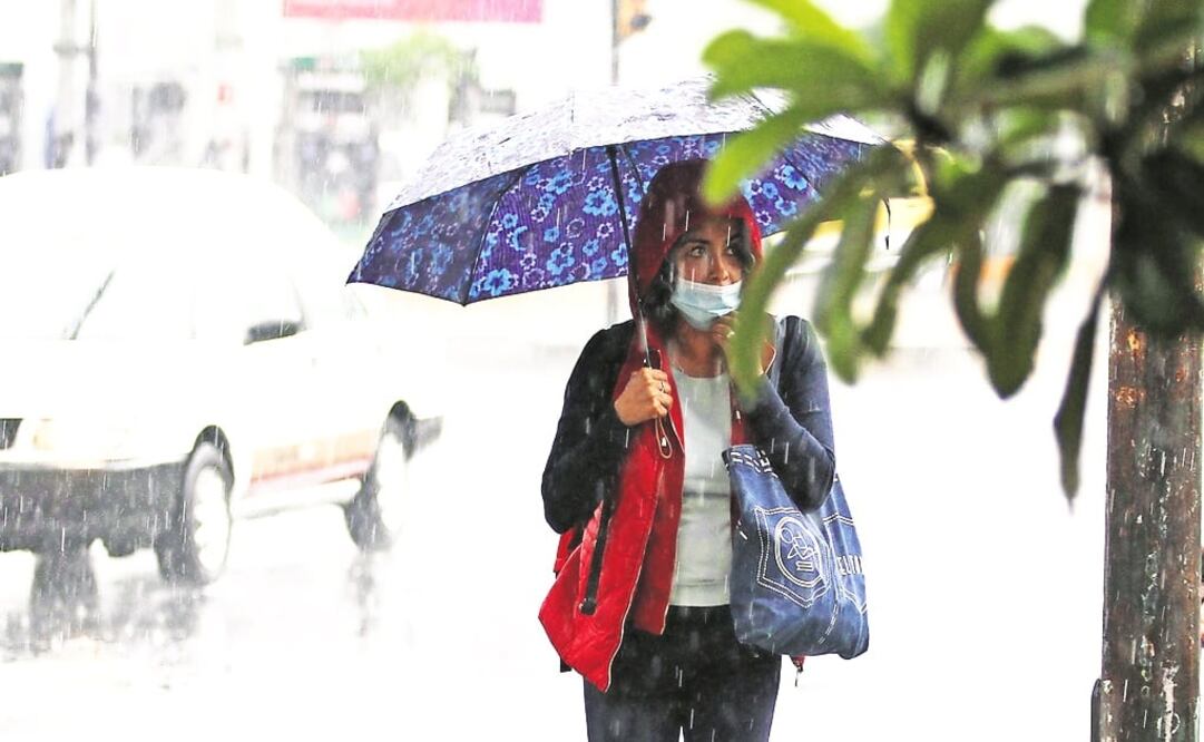 Foto: Archivo/ EL UNIVERSAL