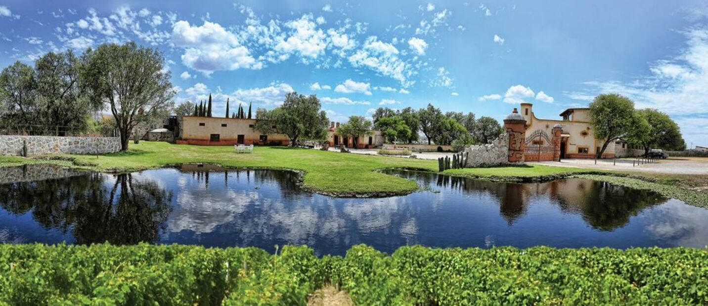 Foto: Viñedos Azteca