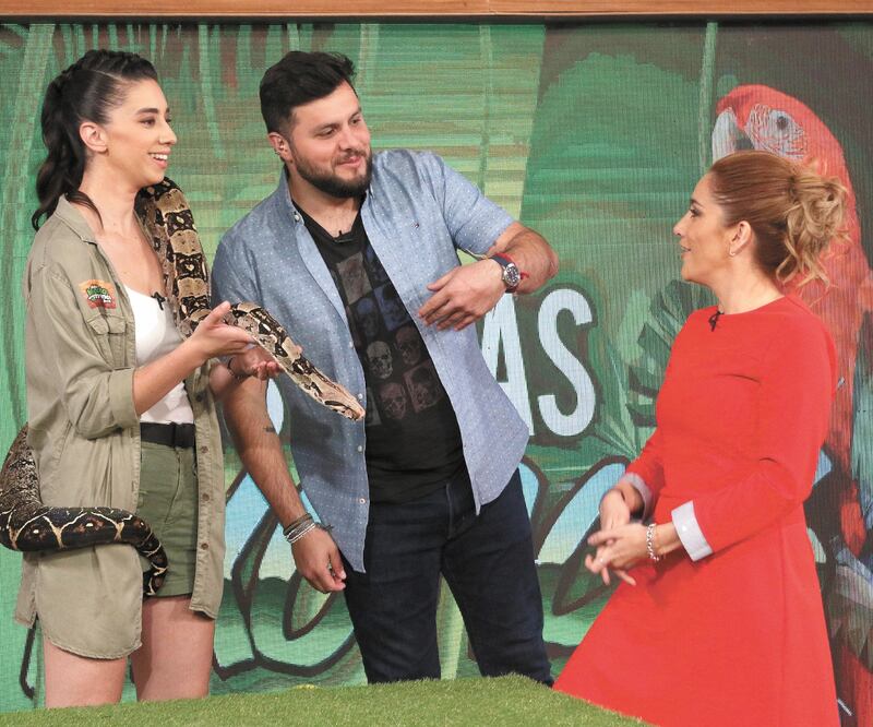 Junto a Paul Stanley está la veterinaria zootecnista Andrea Zamuano, que en cada emisión lleva un animal exótico. Foto: Cortesía