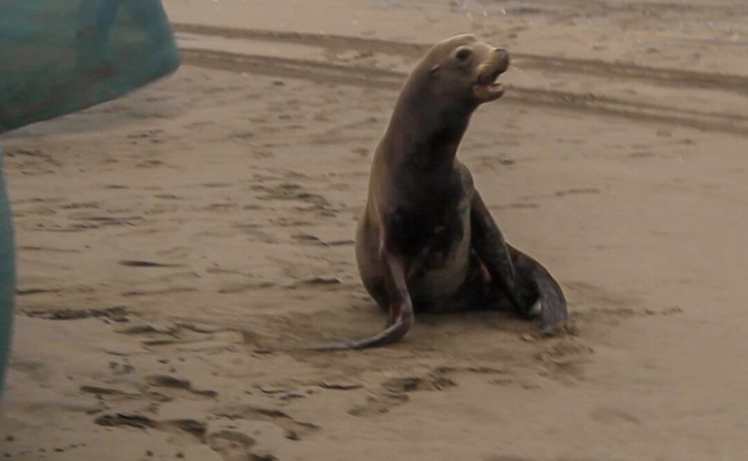 Fotos: Zoológico de Culiacán