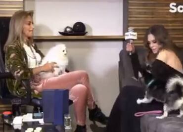 Adela Micha y Lucía Méndez pasan incómodo momento por sus perras