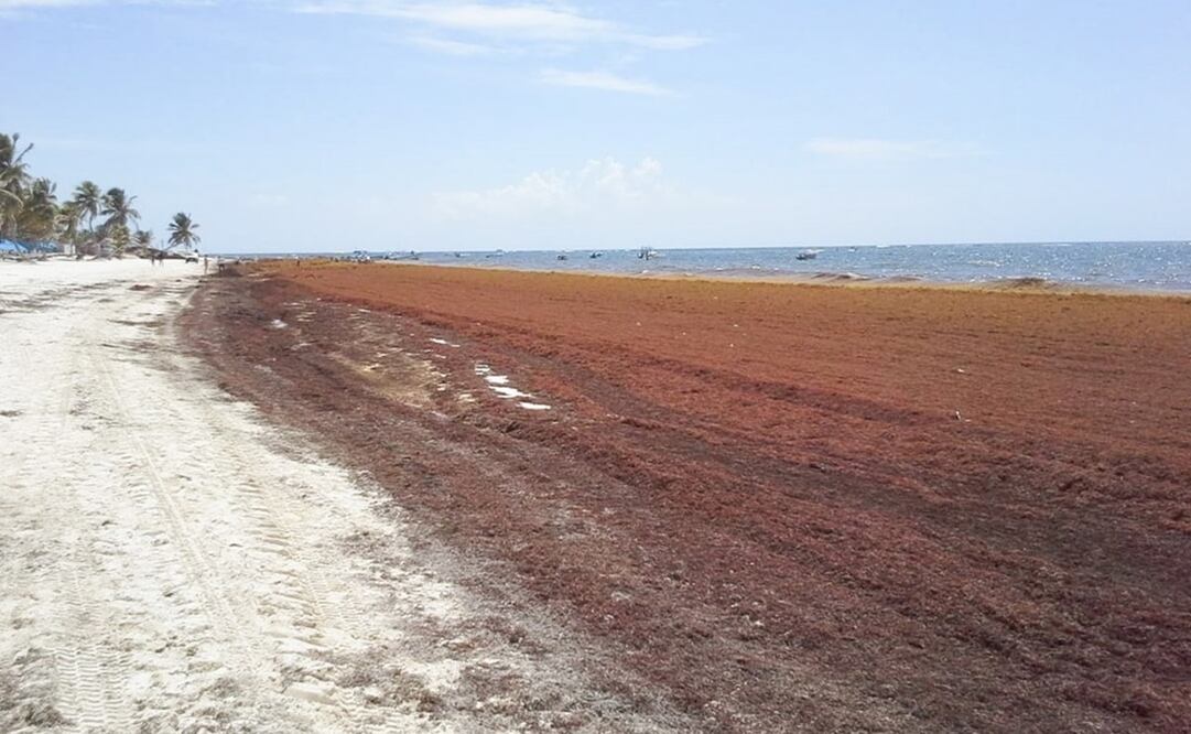 Foto: Archivo/EL UNIVERSAL 