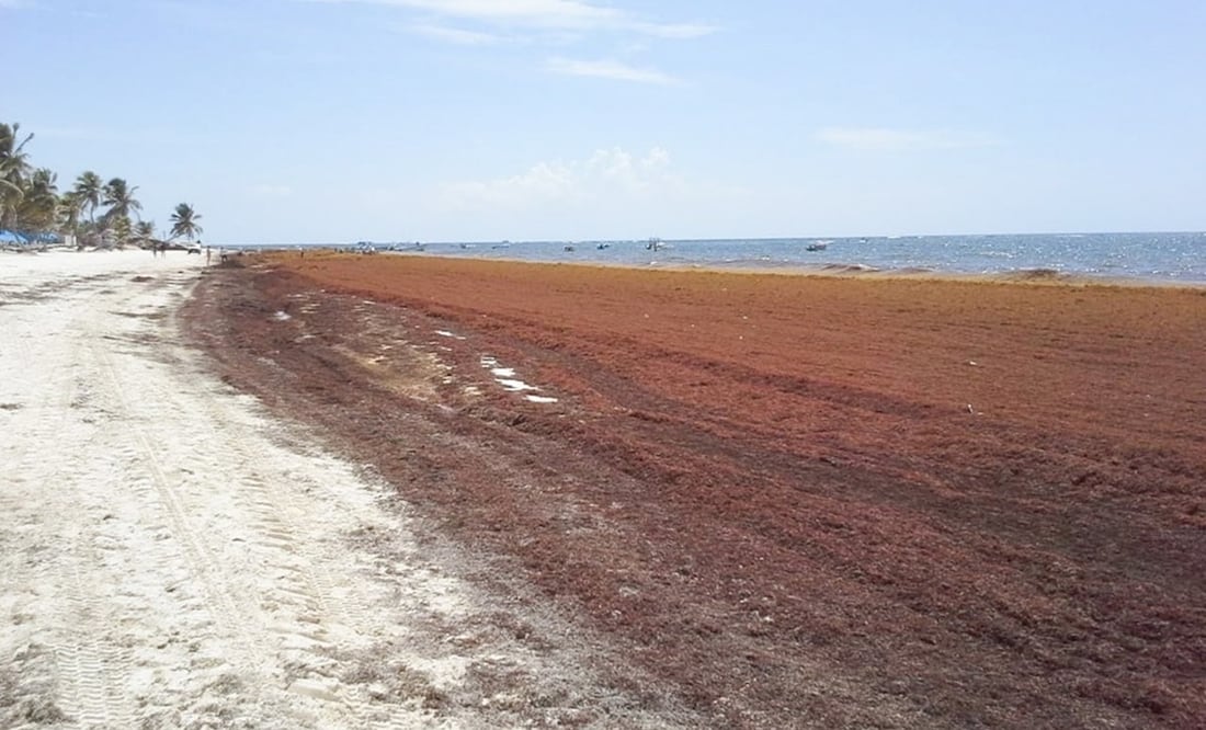 Foto: Archivo/EL UNIVERSAL