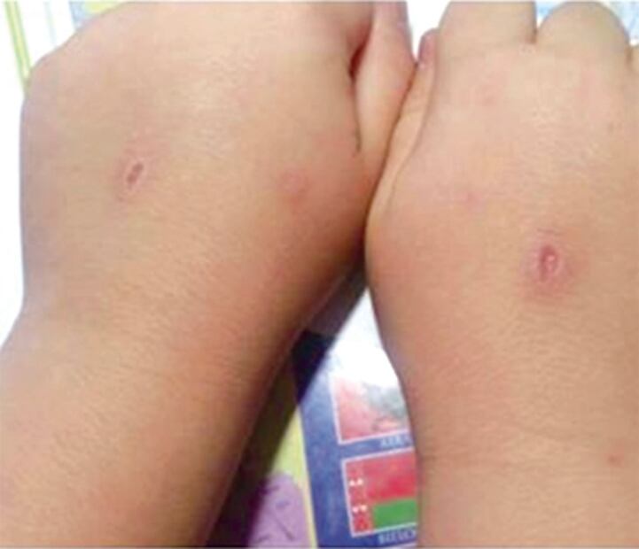 El Foco. Diálogo pacheco entre Nay Salvatori y Jesusa Rodríguez