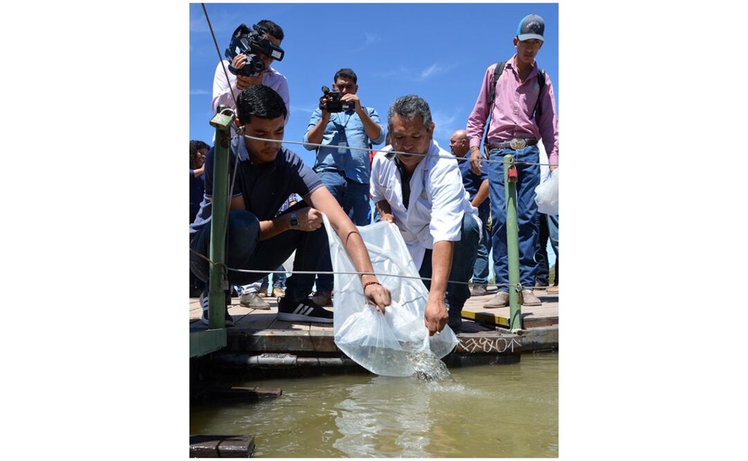 FOTOS: Ayuntamiento de Cajeme
