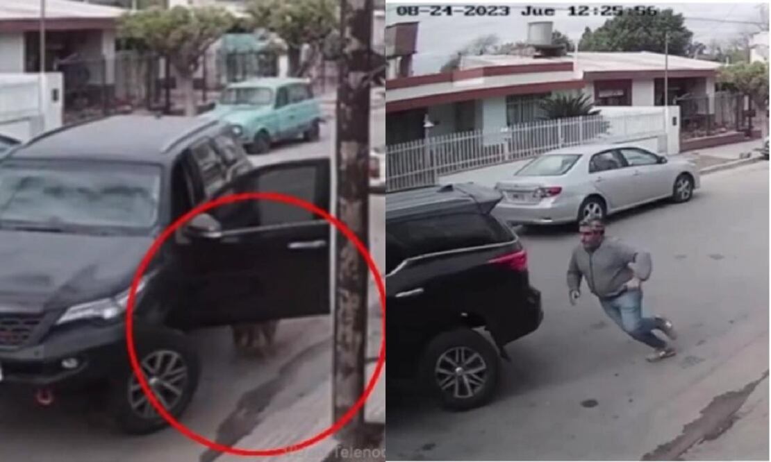 El video del perrito que chocó una camioneta se volvió tendencia en las diferentes redes sociales. FOTO: Captura de pantalla video en Instagram @todonoticias