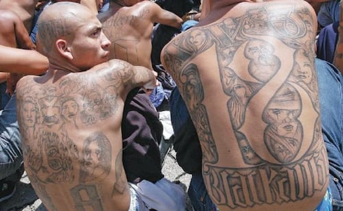 The Mara Salvatrucha MS-13 and M-18 gangs are negotiating an alliance to create the Mara 503.  (Photo: EFE) 