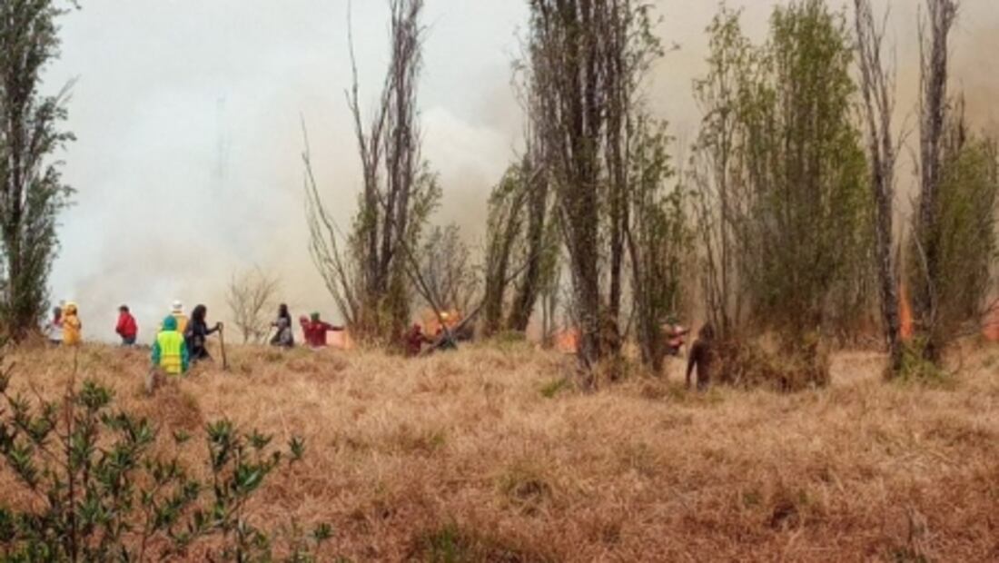Tras casi 8 horas controlan incendio en Parque Ecológico de Xochimilco