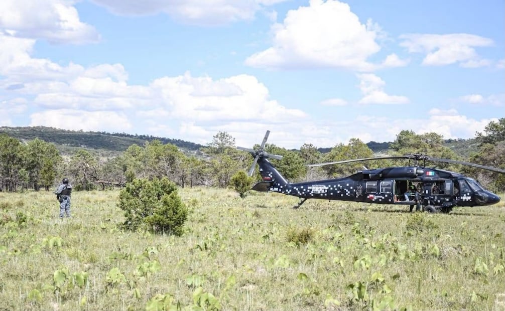Hallan laboratorio clandestino y campamento criminal en Zacatecas. Foto: Especial